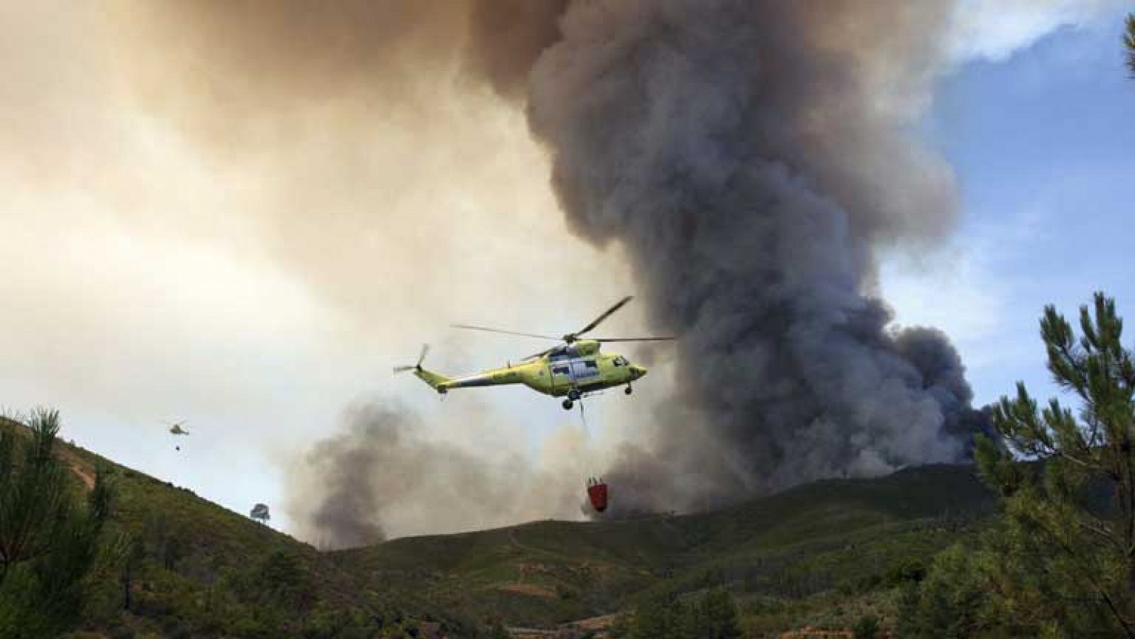 Telediario 1: 600 hectáreas devastadas Las Hurdes | RTVE Play