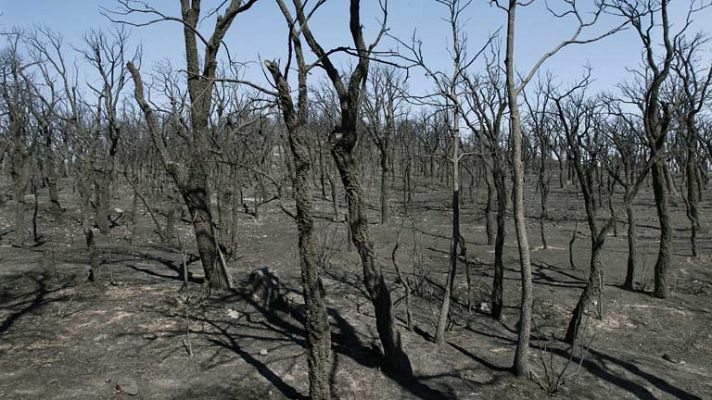 Telediario 1 - Sigue la lucha contra el fuego