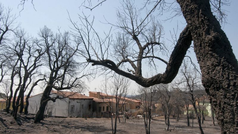 Los bomberos trabajan para evitar que las altas temperaturas puedan reavivar las llamas en Girona