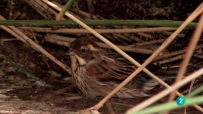 Biodiario - Biodiario - 26/07/12