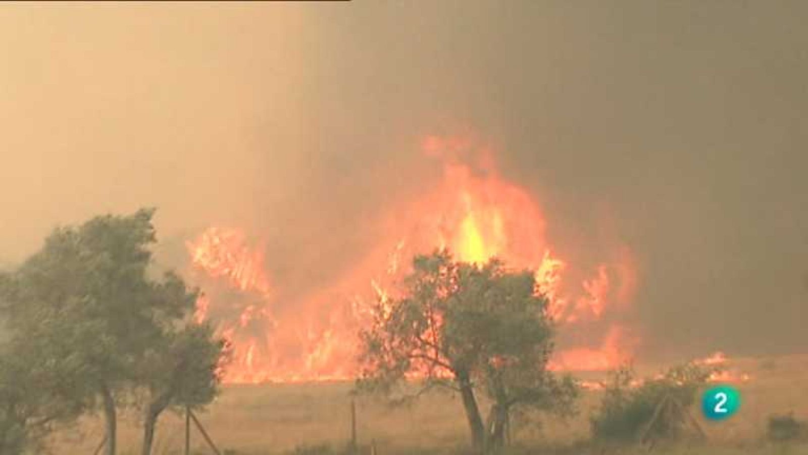 Agrosfera - 28/07/12 - ver ahora