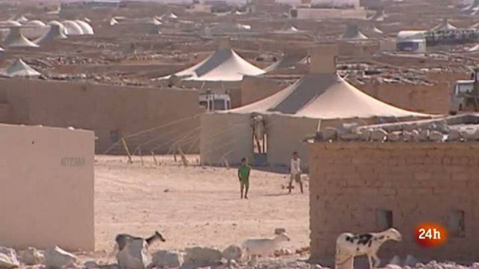 LLEGADA COOPERANTES REPATRIADOS DEL SAHARA