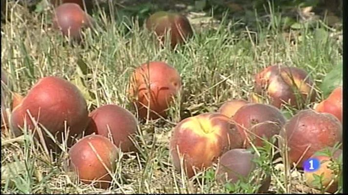 Noticias Aragón - 30/07/12