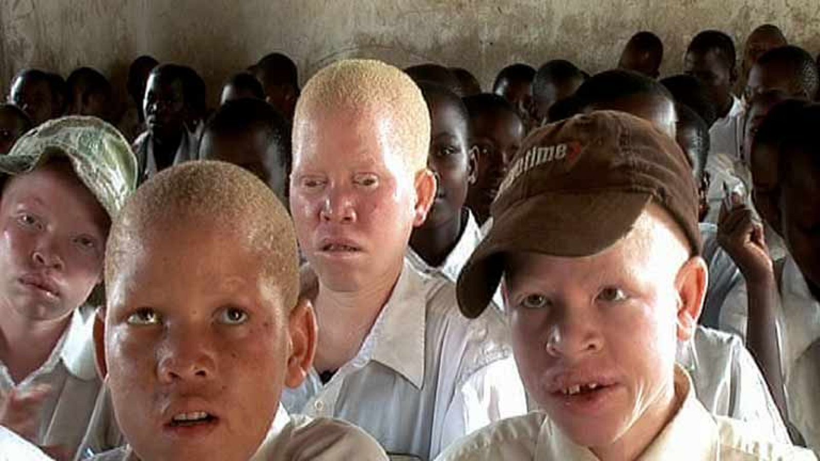 La Noche Temática - ¿Somos todos iguales? - Avance - La noche temática | Ver