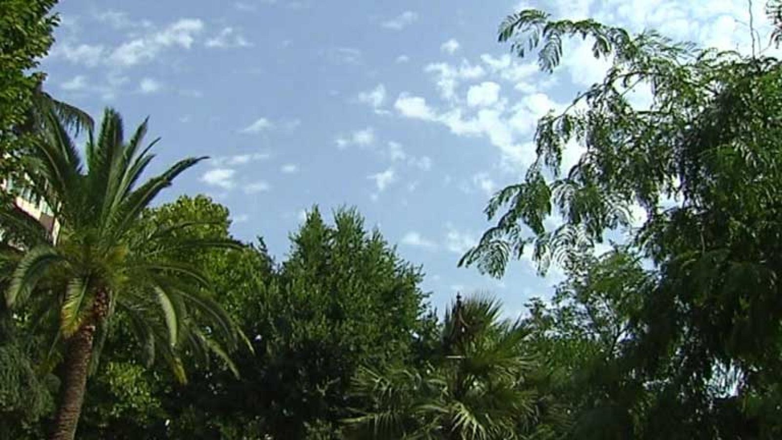 Altas temperaturas en la mitad sur y este peninsular