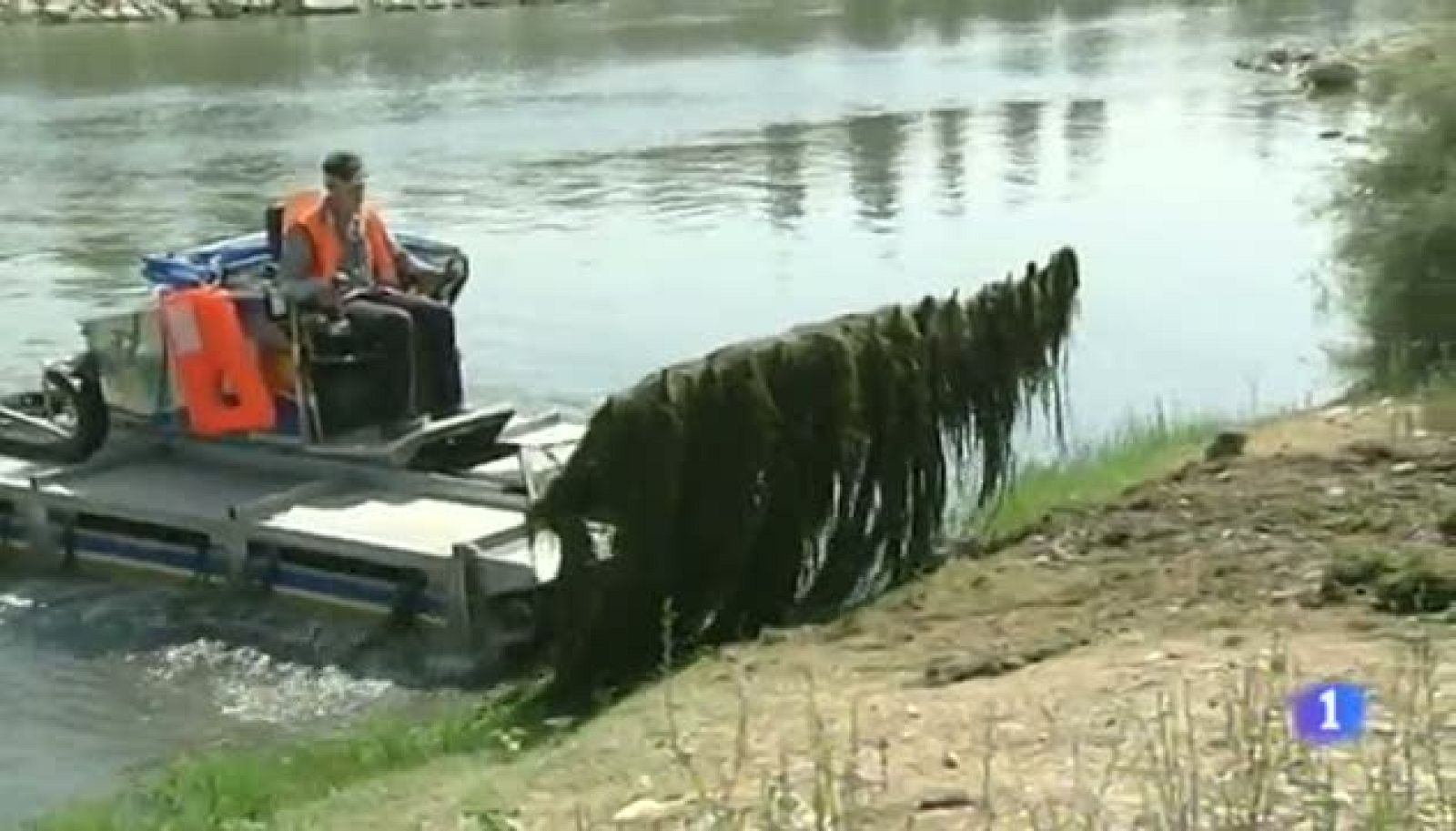 Noticias Aragón - 31/07/12 | Ver