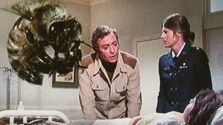 Clásicos de La 1 - 'El enjambre'. una invasión de abejas asesinas en 'Clásicos de La 1'