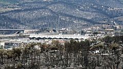 Los bosques quemados pueden tardar hasta 30 años en recuperarse