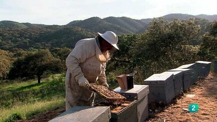 Biodiario - Biodiario - 02/08/12
