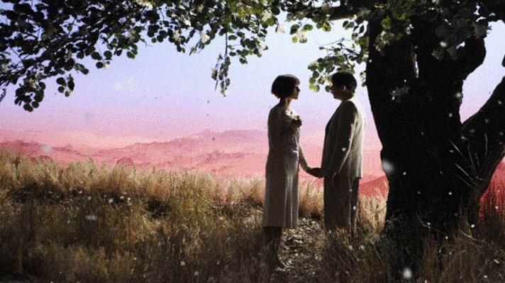 Días de cine - Días de cine: 'Pollo con ciruelas'