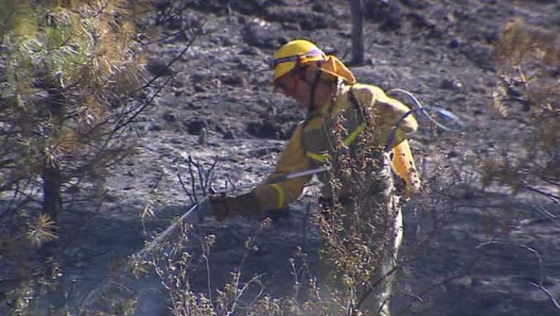 El incendio del Alto Tajo se encuentra ya estabilizado y podría ser controlado en las próximas horas