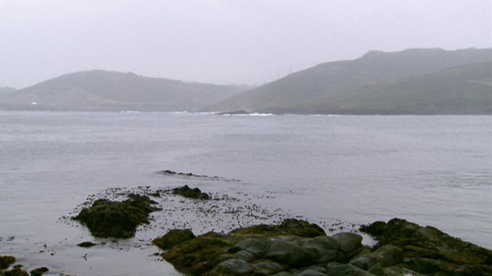 Chubascos débiles en el norte