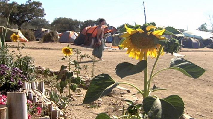 Termina el Boom Festival