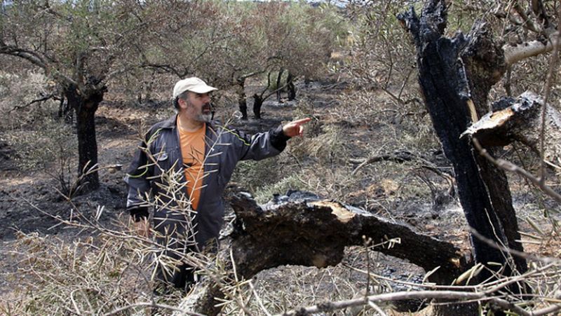 En la sierra de Gata se han quemado 600 hectáreas 