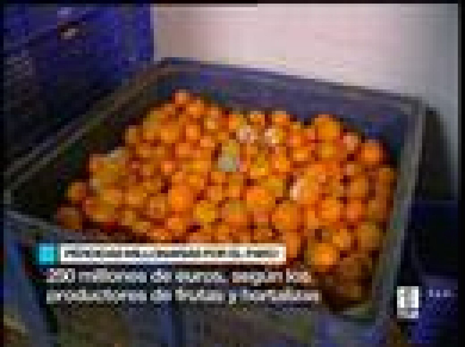 300 Millones de ¿uros calculan que han perdido agricultores y ganaderos en los cinco días de paro de los transportistas | Ver