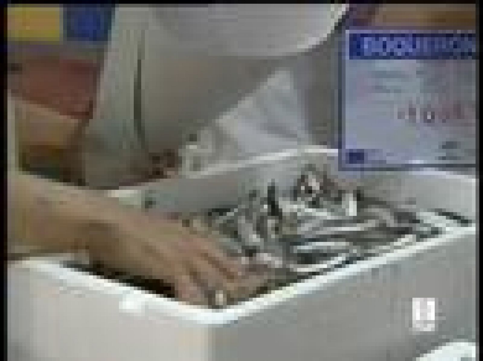 Hoy hay más productos en los grandes mercados | Ver