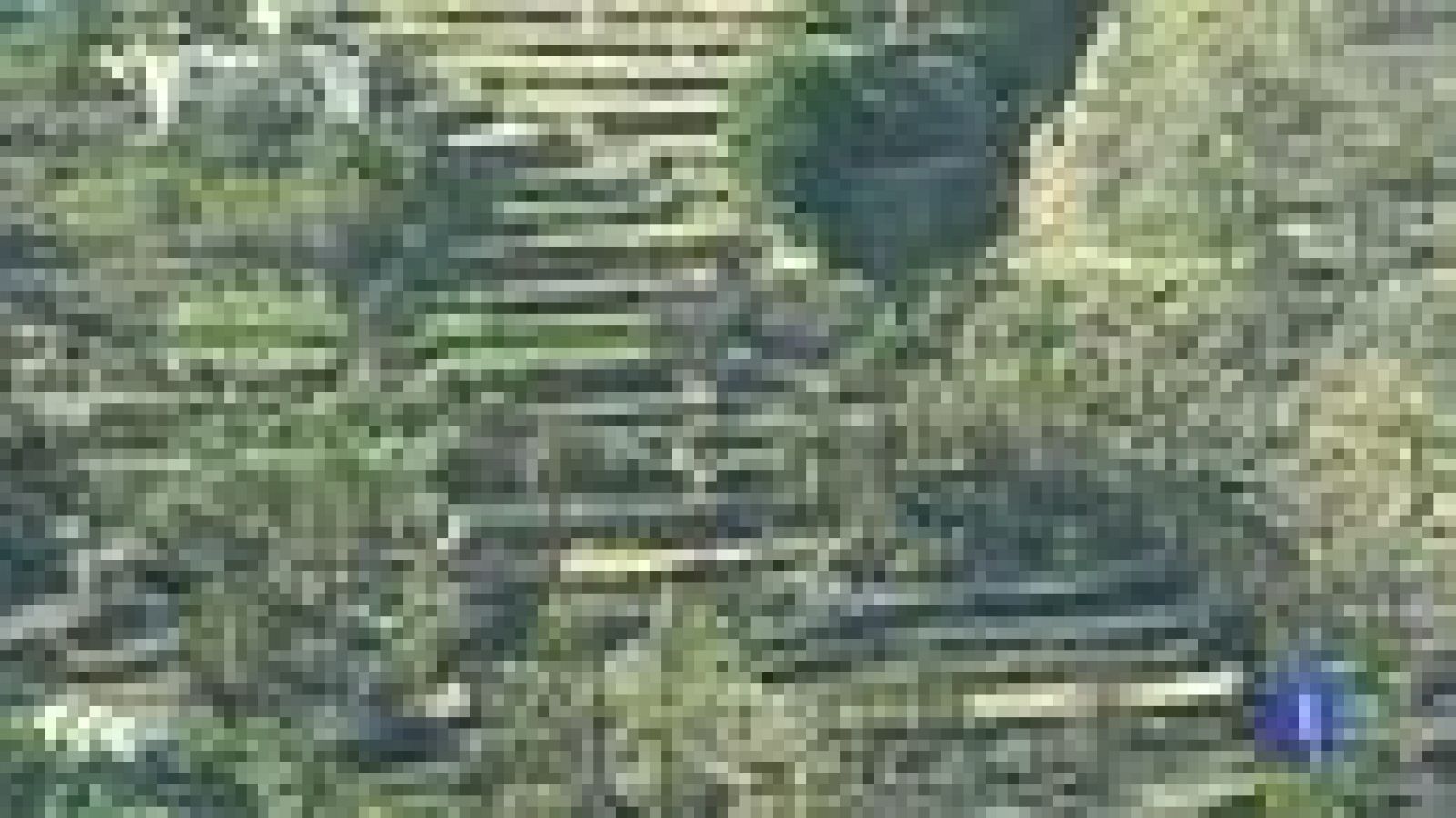 Se quema el 9% del Parque de Garajonay