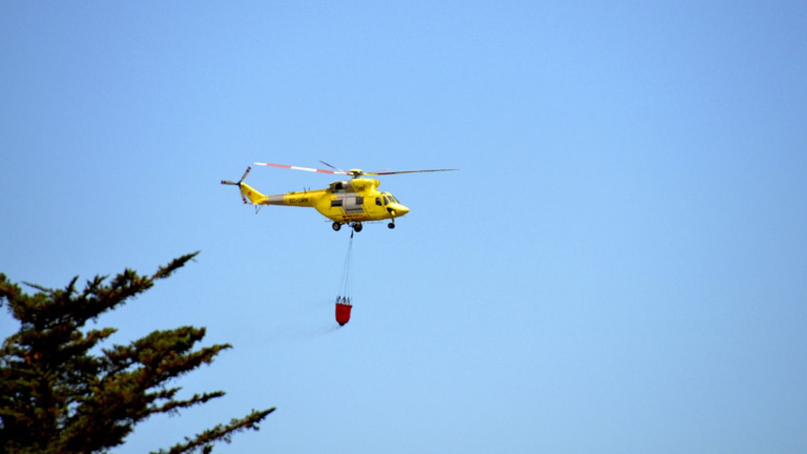 Consiguen detener el avance del fuego en La Palma y sin control en La Gomera 