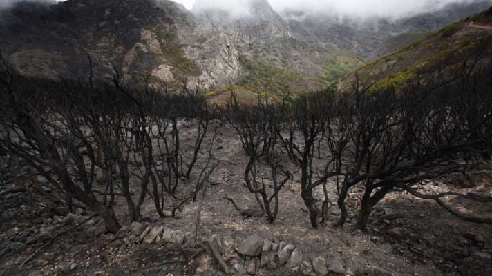Telediario 1 - Incendios en Canarias