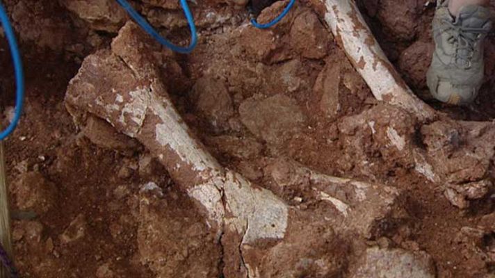 Telediario 1 - Importante hallazgo arqueológico