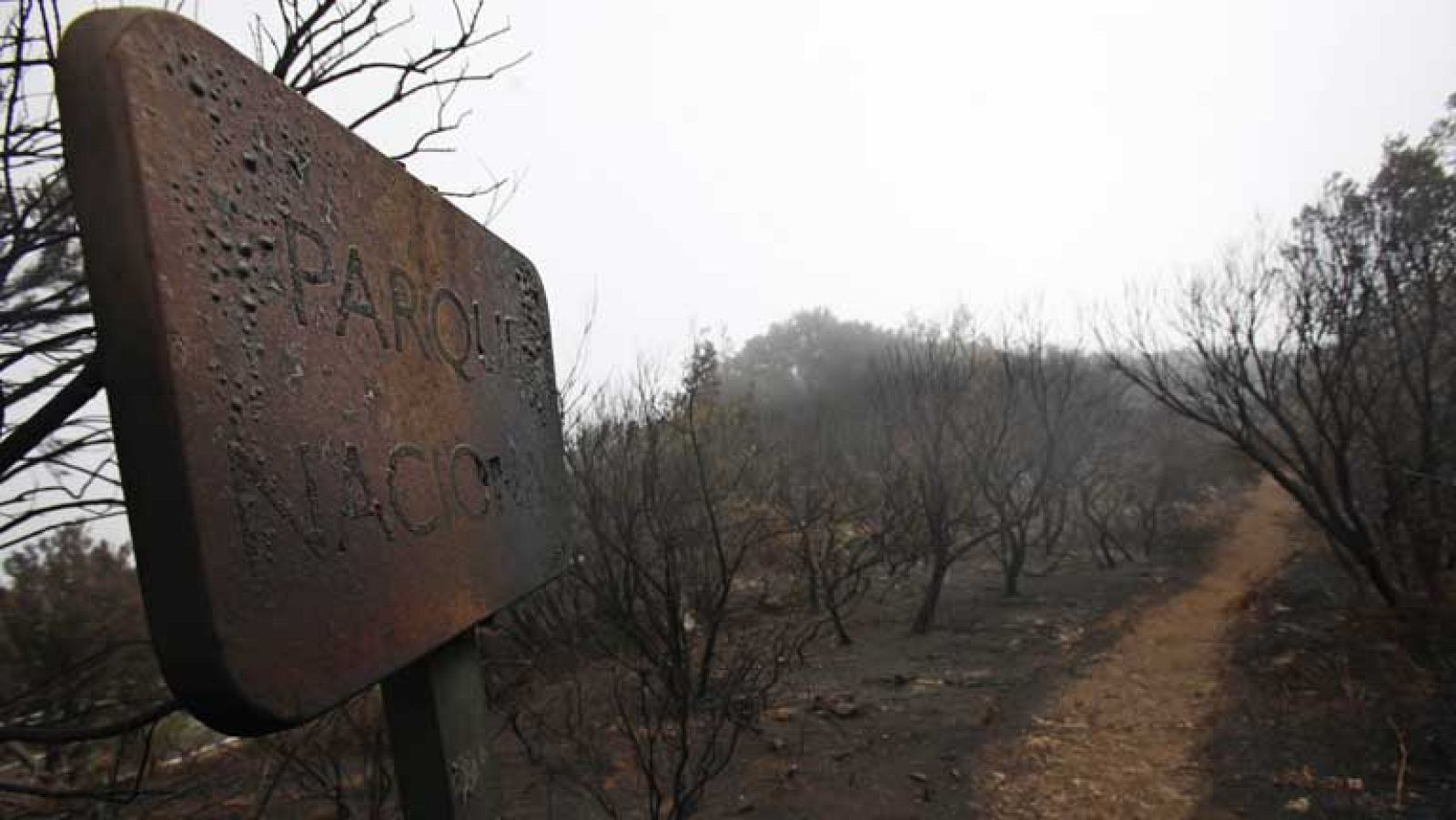  El incendio de la Gomera ha afectado a más de 3.000 hectáreas.