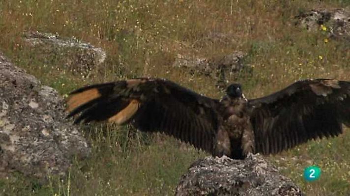 Biodiario - Biodiario - 09/08/12