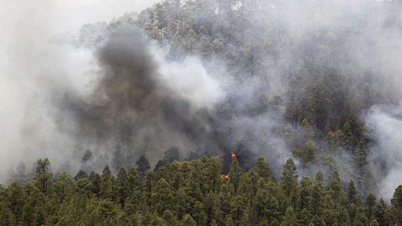 Las altas temperaturas pueden haber reactivado los focos del incendio en La Gomera