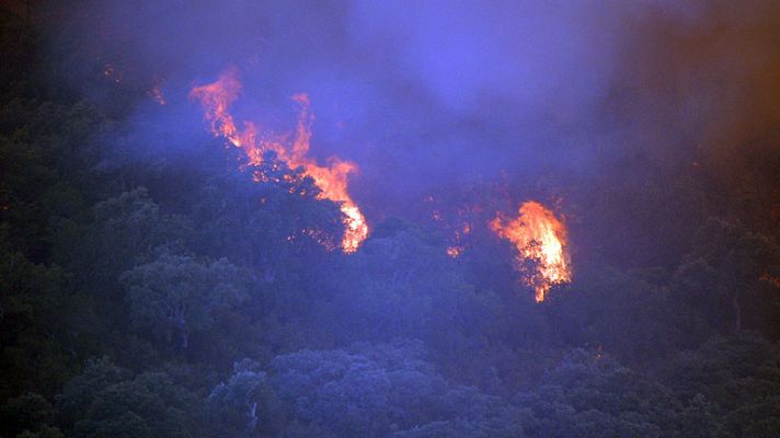 Informativo 24h - Ola de incendios en España