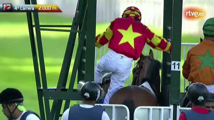 Turf - Turf - 12/08/12