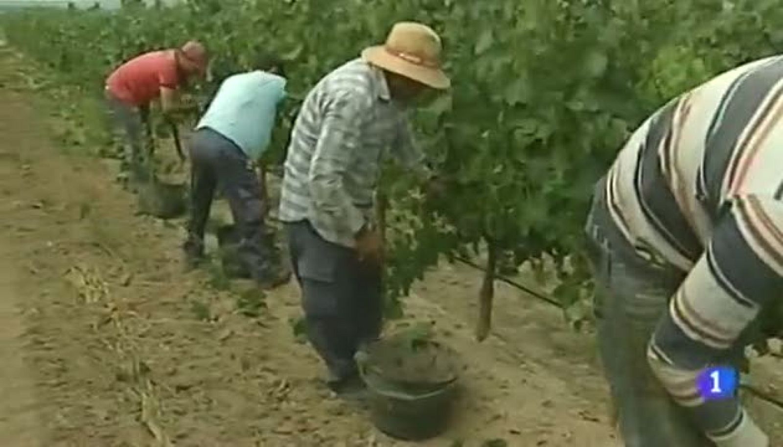 Noticias Aragón - 13/08/12 | Ver