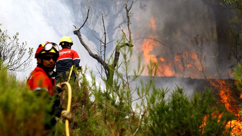 Canarias autoriza la vuelta a sus hogares de parte de los vecinos afectados por los incendios