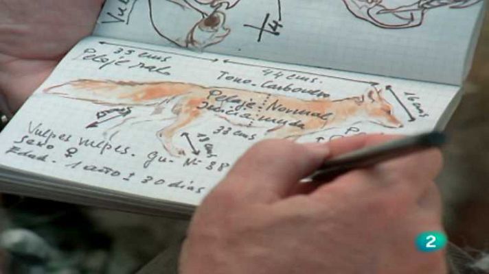 El hombre y la Tierra - Operación zorro, 1