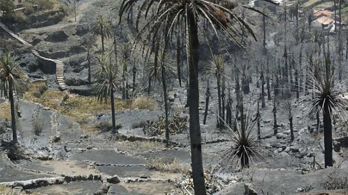 Telediario 1 - Telediario - 15 horas - 15/08/12