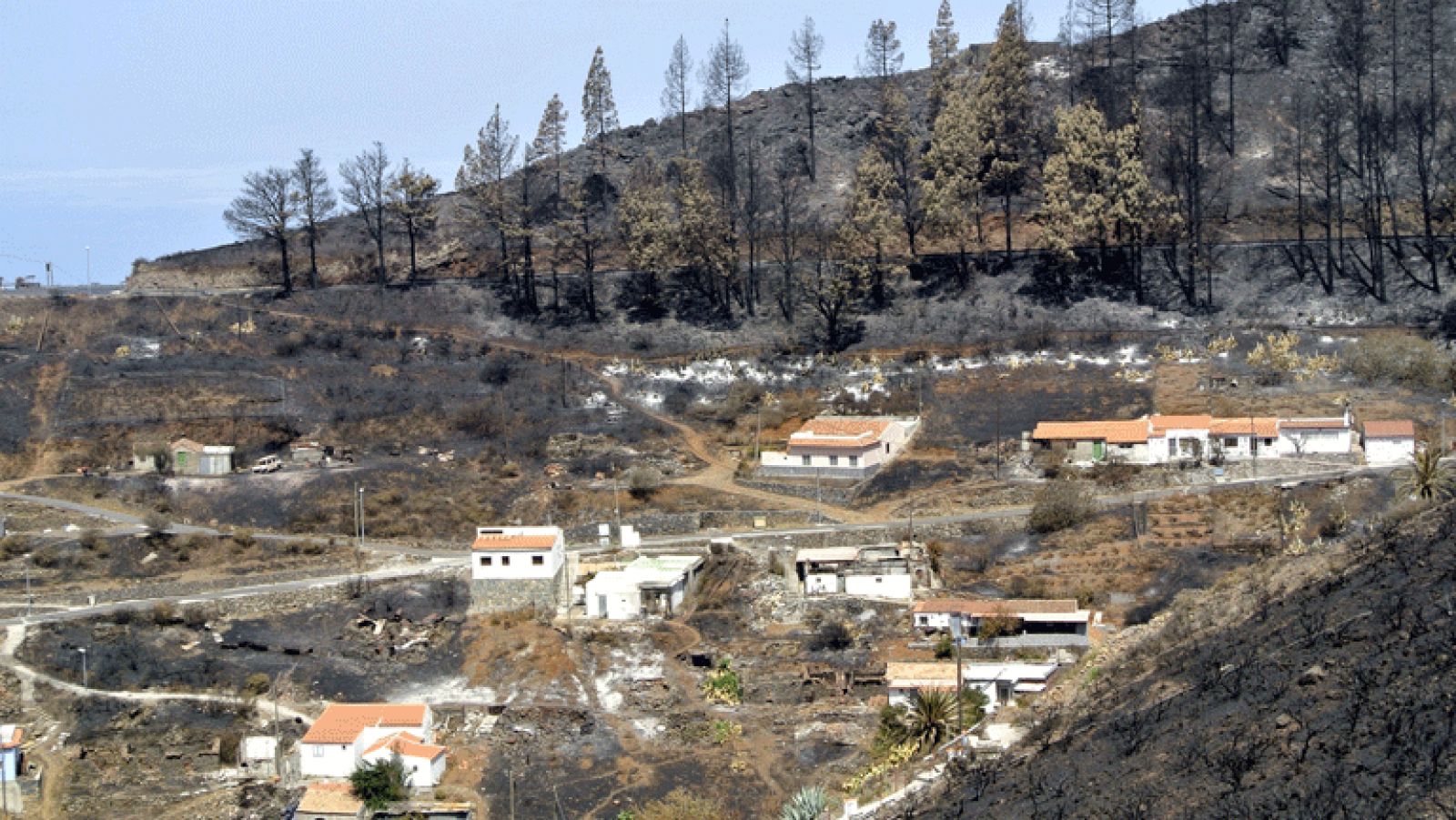 Primeras detenciones en La Gomera