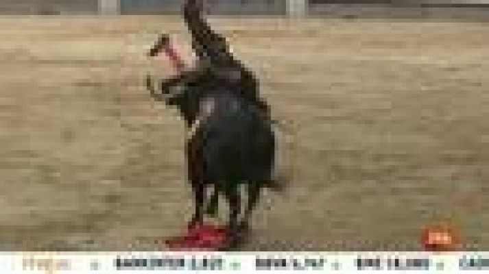 Informativo 24h - Fernando Cruz sufre dos cornadas