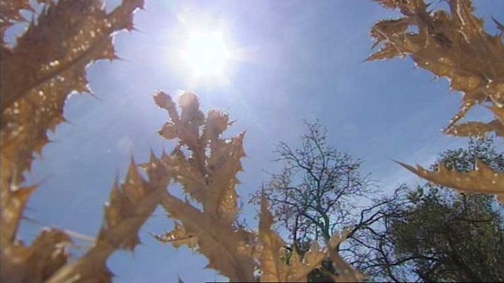 Informativo de Madrid - El tiempo en la Comunidad de Madrid - 16/08/12
