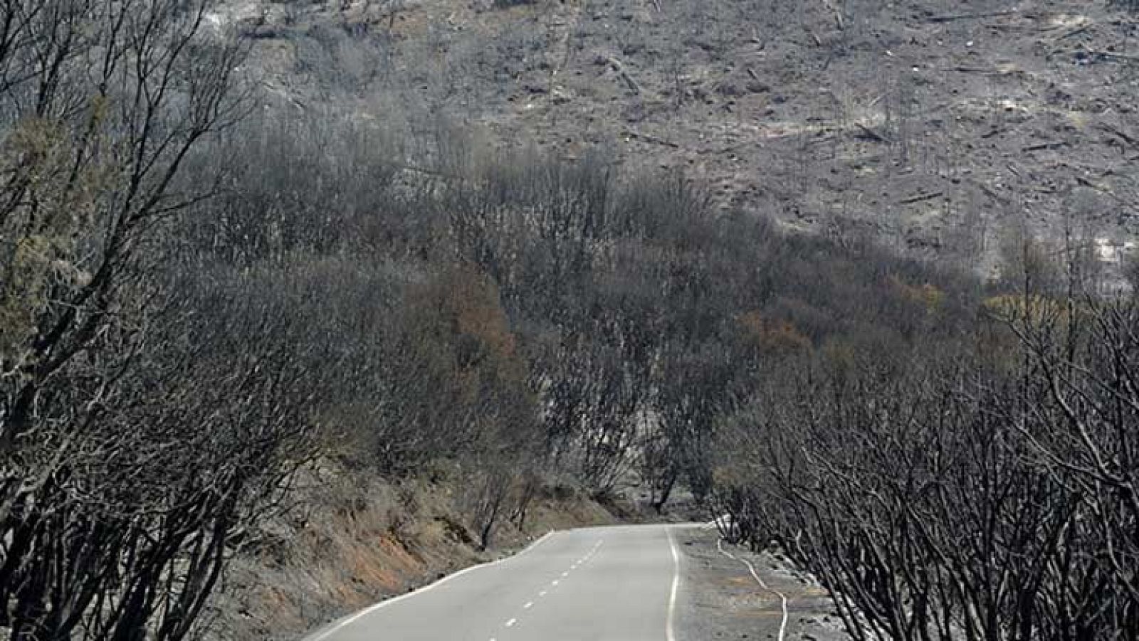  El incendio de la Gomera sigue sin control e imposible de estabilizar en las próximas 24 horas