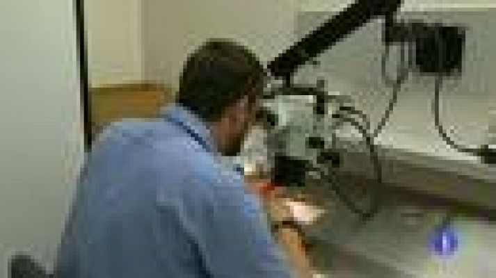 Telediario 1 - 21 fallecidos en Texas por un virus