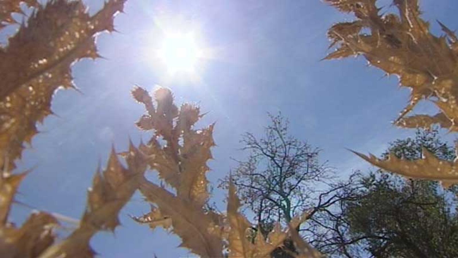 Temperaturas significativamente altas en la Península y Baleares