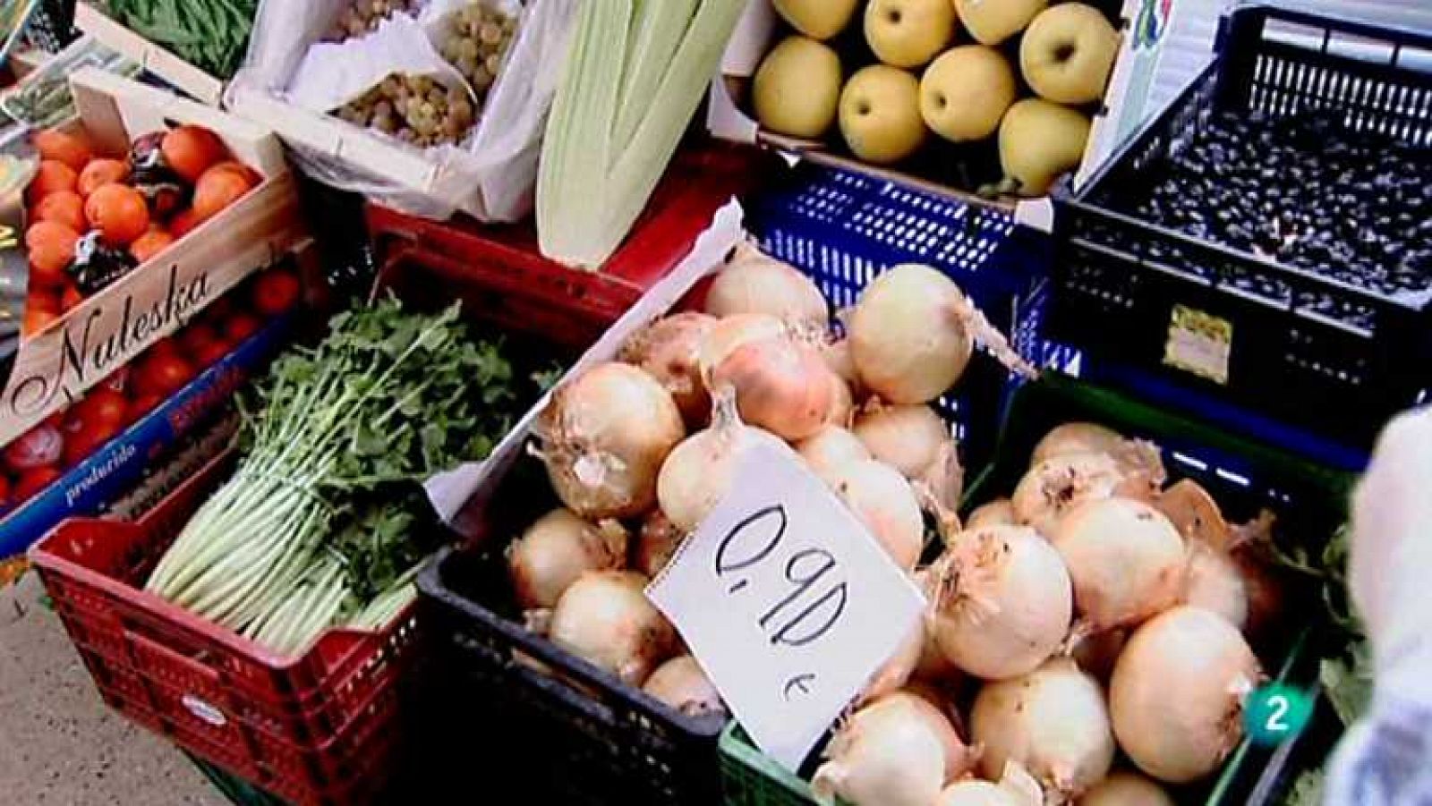 Biodiario - Alimentos españoles 2 - ver ahora