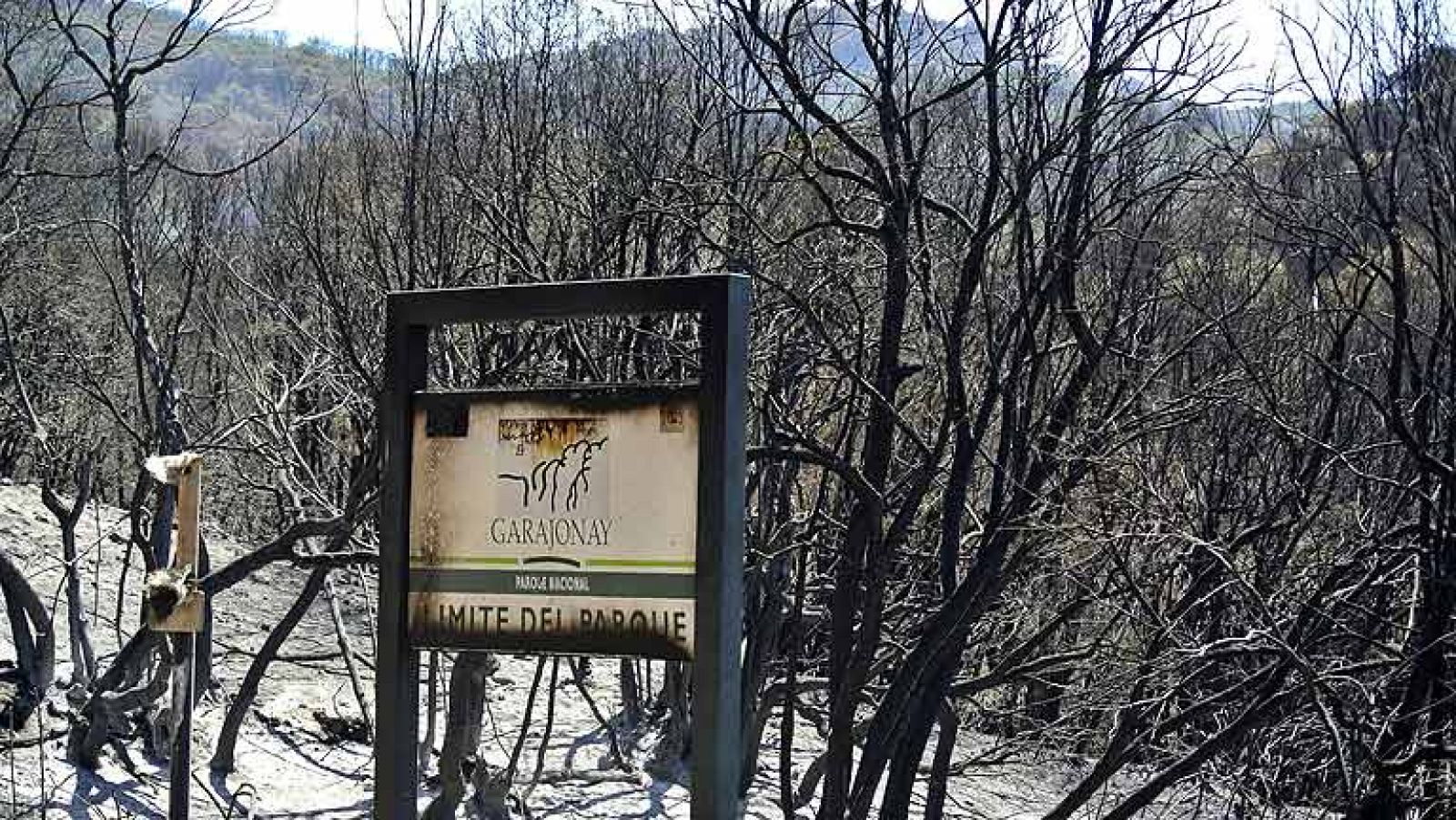 La Guardia Civil interroga a varias personas sobre el incendio de La Gomera