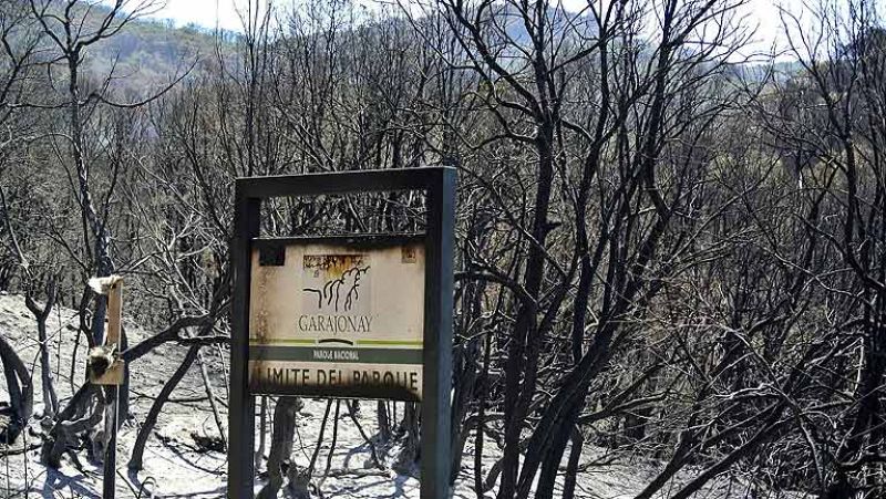 La Guardia Civil interroga a varias personas sobre el incendio de La Gomera