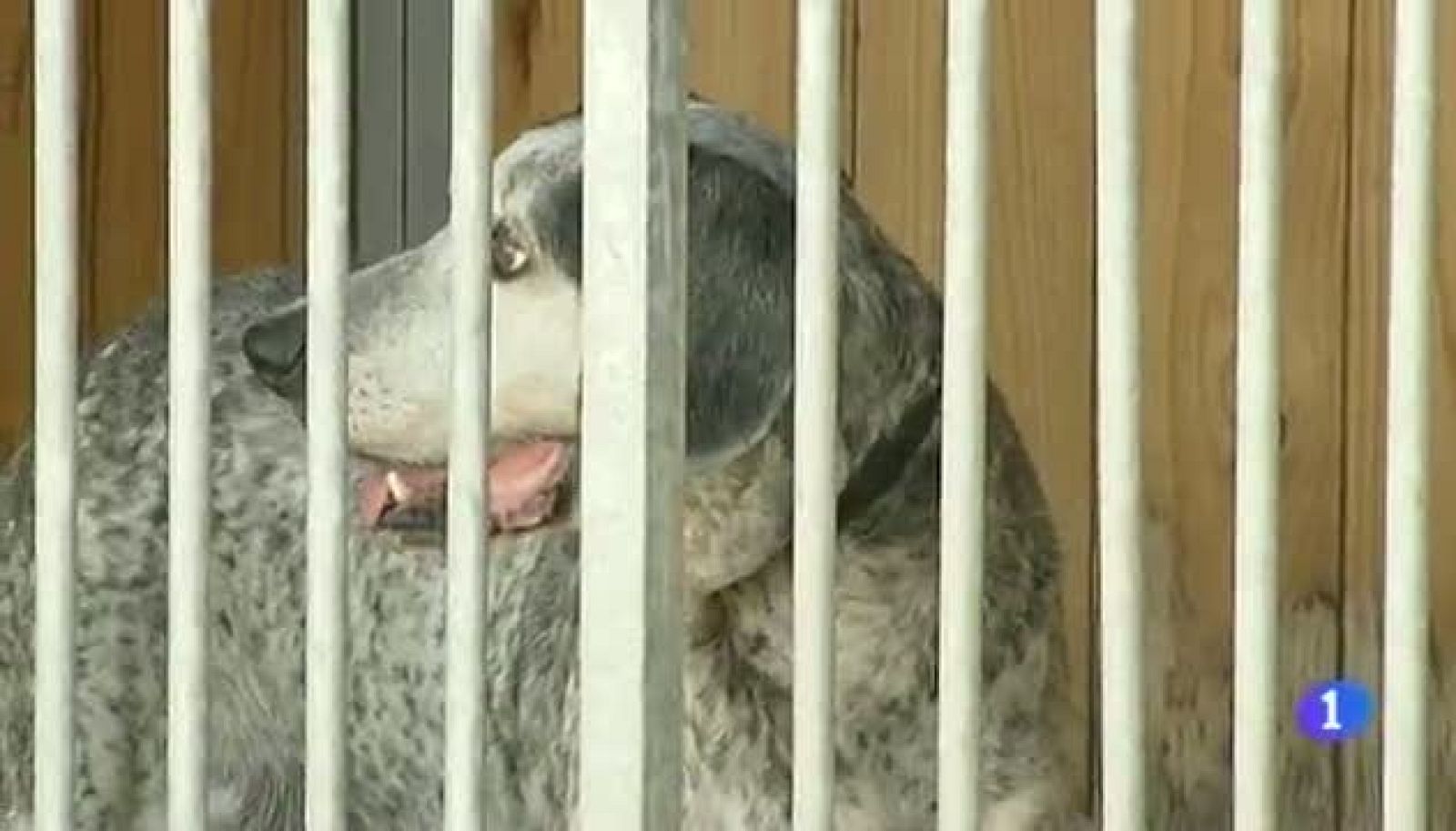 Noticias Aragón - 17/08/12 | Ver