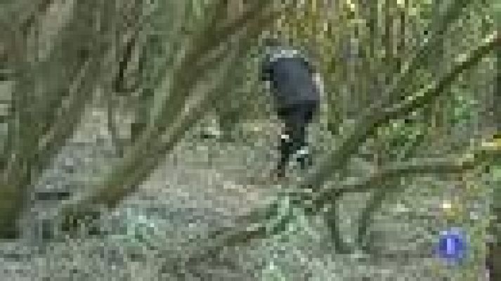 Telediario 1 - Quemado el 20% de Garajonay