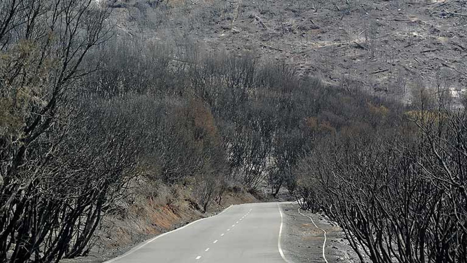 Ya está casi controlado el incendio de La Gomera
