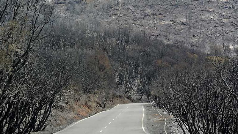 Ya está casi controlado el incendio de La Gomera