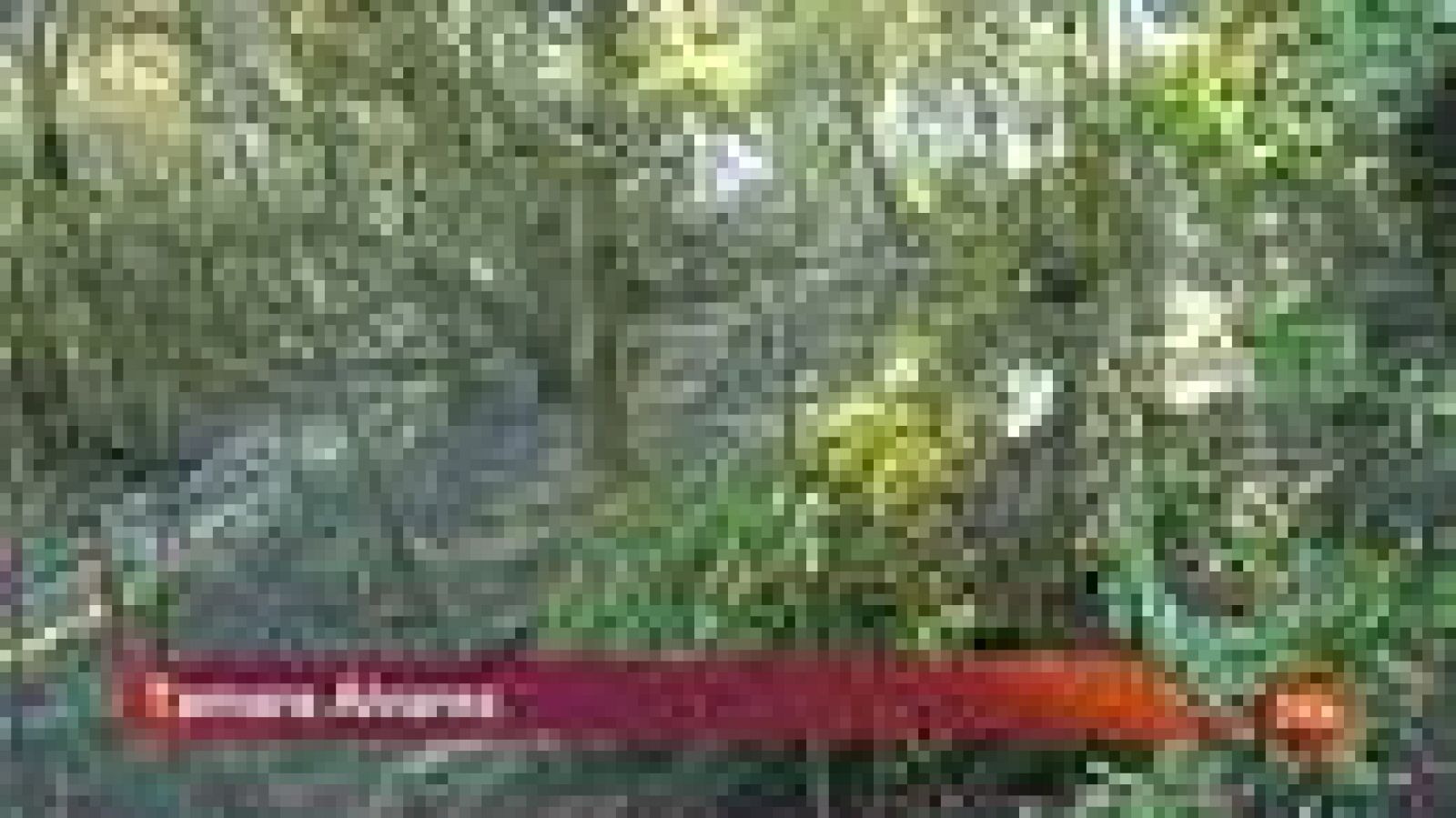 Continúa activo bajo tierra el incendio de La Gomera