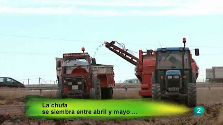 Agrosfera - Agrosfera - 18/08/12