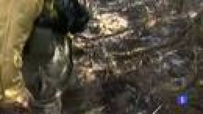 Telediario 1 - Efectos del incendio en La Gomera