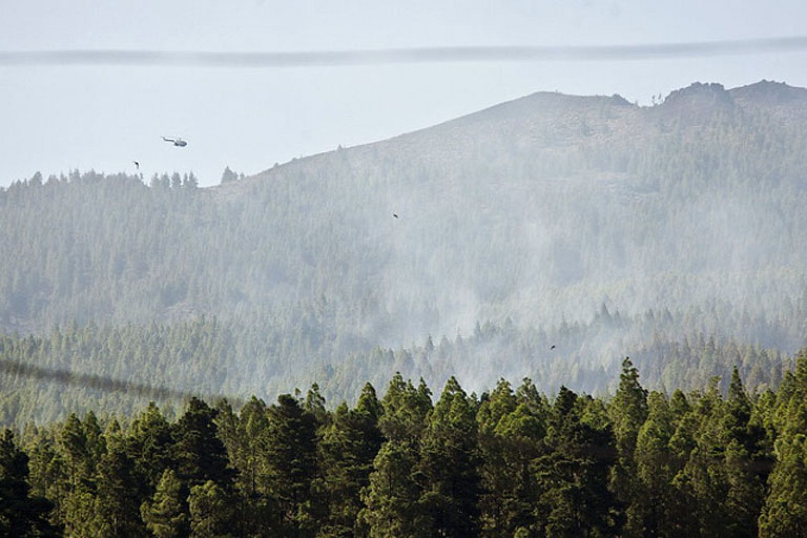  Algunas Comunidades han regulado durante este fin de semana el acceso a espacios naturales por la ola de calor